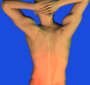 腰痛の悩みを持つ人は多い